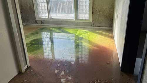 횡주관 막힘으로 저층 세대 거실 하수 역류 침수 현장